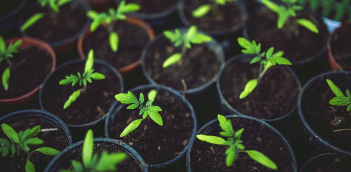 eco-ecology-environment-5808-1140x560