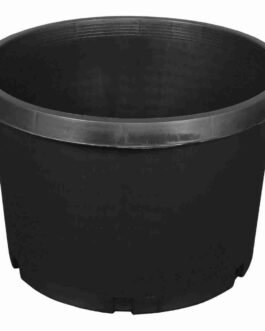 10 Gallon Pot