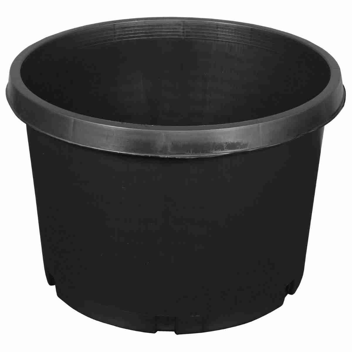 10 Gallon Pot