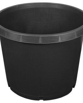 20 Gallon Pot