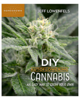 DIY Autoflowering Cannabis: An Easy Way to Grow Your Own