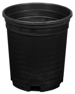 1 Gallon Pot