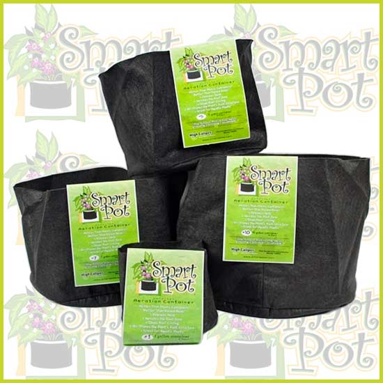 Smart Pot 15 Gal