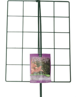 Luster Rectangle Grow Through Grid