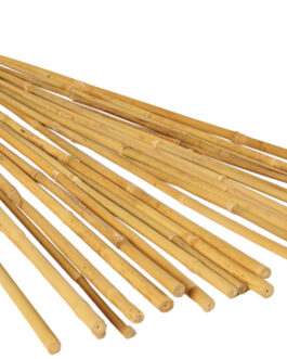 Bamboo Bulk 8 ft 50 Pack