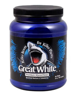 Plant Success Great White