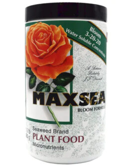 Maxsea Bloom 3-20-20 1.5 lb