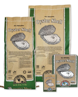 Down To Earth Oyster Shell