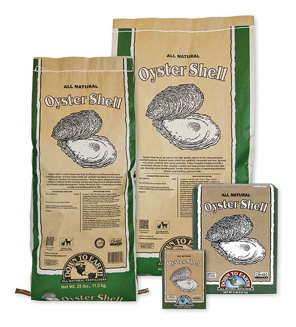 Down To Earth Oyster Shell