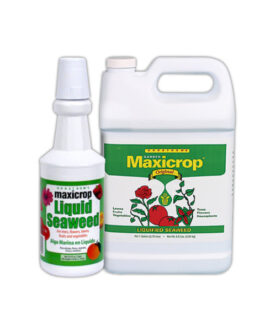 Maxicrop Liquid Seaweed 0-0-1
