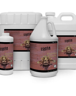 Roots Organics Buddha Bloom