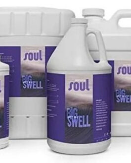 Soul Big Swell