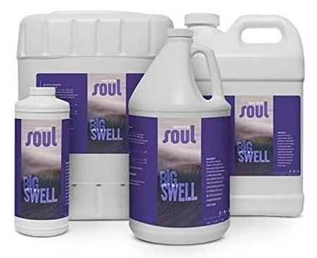 Soul Big Swell