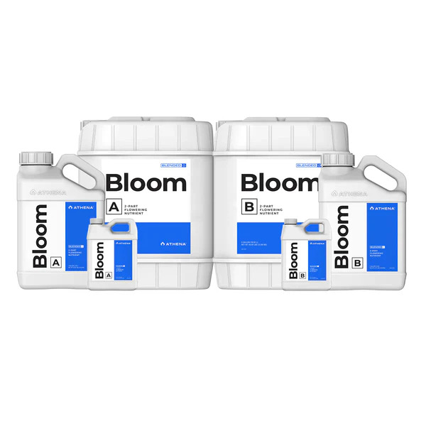 Athena Blended Bloom B 0.7-6-5