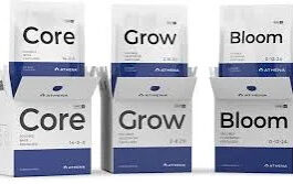 Athena Pro Bloom 0-12-24