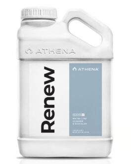 Athena Clean Line Renew