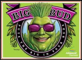 Advanced Nutrients Big Bud